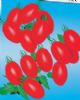 供应台湾圣女－番茄种子
