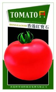 供应红宝石-番茄种子