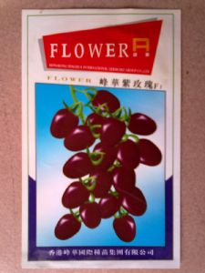 供应峰华紫玫瑰-番茄种子