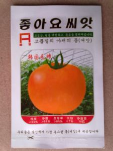 供应韩国元帅F1-番茄种子