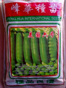 供应美国6号—豌豆种子
