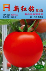 供应新红钻835－番茄种子