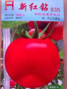 供应新红钻835—番茄种子