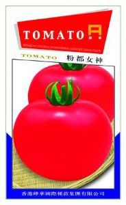 供应峰华女神-番茄种子