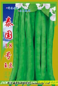 供应【正源】泰国18号玉豆（385）—玉豆种子