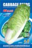 供应【正源】05快白菜（2005）种子—白菜种子