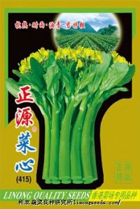 供应【正源】菜心（415）—菜薹种子