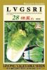 供应【金牌佬农】28号快菜（426）—白菜种子