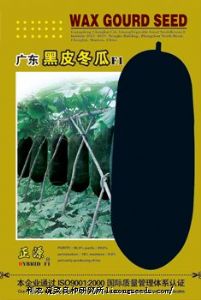 供应【正源】广东黑皮冬瓜（107）—冬瓜种子