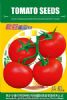 供应【正源】欧冠番茄F1（503）—番茄种子