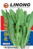 供应无斑香油麦（4008）—青梗菜种子