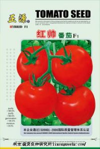 供应【正源】红帅番茄F1（505）—番茄种子
