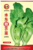 供应水东甜芥菜（2061）-芥菜种子
