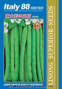 供应【正源】意大利88(3018)—菜豆种子