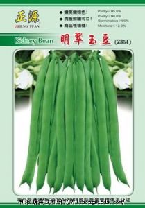 供应【正源】明翠玉豆（Z354）—菜豆种子