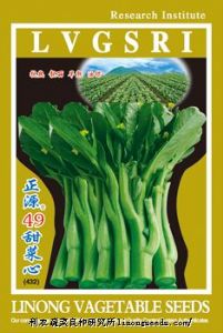 供应【正源】四九甜菜心（432）—菜薹种子
