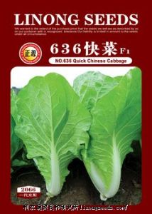供应【正源】636快菜 (2066) —白菜种子