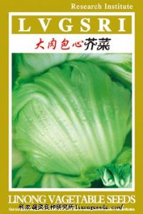 供应【正源】大肉包心芥菜（442）—芥菜种子