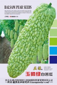 供应玉帅绿白苦瓜（168）—苦瓜种子