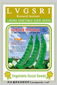 供应【正源】台湾改良11号(365)—豌豆种子