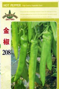 供应金椒208—辣椒种子