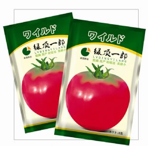 供应绿顶一郎——番茄种子