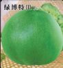 供应绿博特3—甜瓜种子