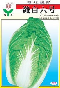 供应潍白六号—白菜种子