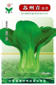 供应苏州青—油菜种子