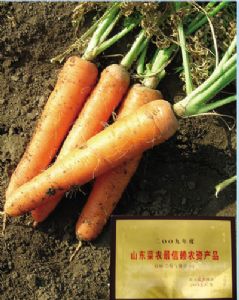 供应红映二号—胡萝卜种子
