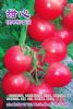 供应甜心—番茄种子