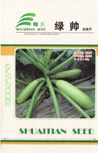 供应绿帅—西葫芦种子
