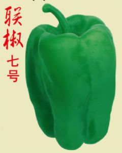 供应联椒七号—辣椒种子甜椒种子