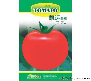 供应凯运番茄1文—番茄种子
