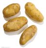 供应克星一号—优质一级种薯种子