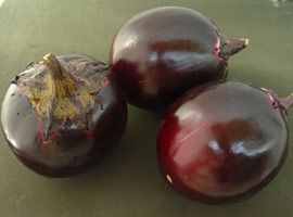 供应早紫丸—茄子种子