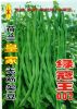 供应绿冠王002—菜豆种子