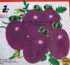供应紫色小番茄—番茄种子