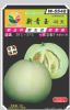 供应新青玉48版—甜瓜种子