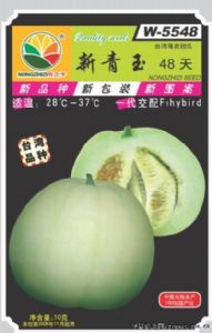 供应新青玉48版—甜瓜种子