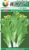 供应株洲苔冠－白菜菜苔种子