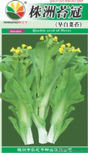 供应株洲苔冠－白菜菜苔种子