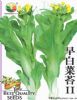 供应早白菜苔Ⅱ－白菜菜苔种子