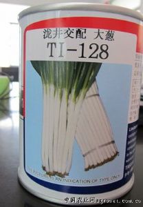 供应TI-128——大葱种子 