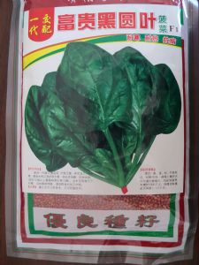 供应富贵黑圆叶菠菜F1—菠菜种子
