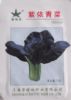 供应紫依青菜—油菜种子