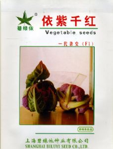 供应依紫千红—花椰菜种子