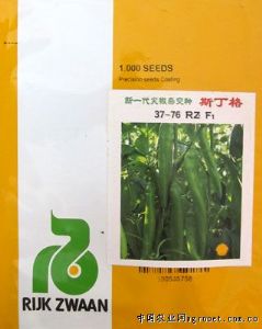 供应斯丁格（37-76）—辣椒种子