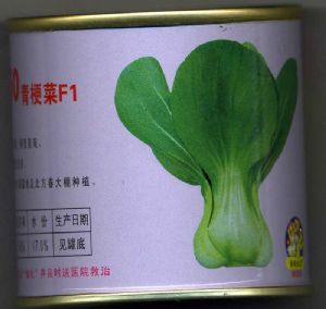 供应青梗菜种子——金品50青梗菜