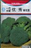 西蓝花种子——优秀青花菜